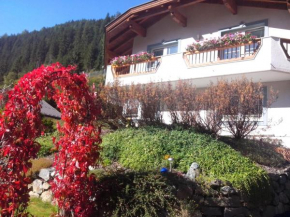 Hotels in Ochsengarten